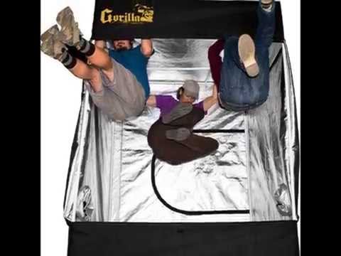 how to cure high ggt