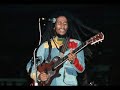 Bob Marley Smile Jamaica Dub