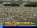Nasty-pollution-in-C