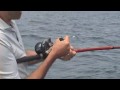 videos de True Blue Fishing Trip