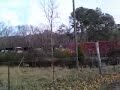 NS Manifest with TFM SD70MAC Leader