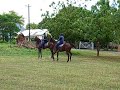 Jamaica Constabulary Force (JCF) Mounted Section Jamaica Constabulary Force (JCF) Mounted Section