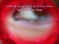 videos de doi indragostiti
