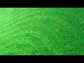 O C D Lawn