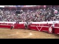 RAMCHO MANO DE LEÓN TORO VOLADOR...!!