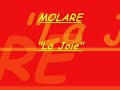 Molare 2008 La joie