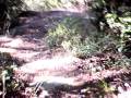 videos de The Gigliarelli Passage