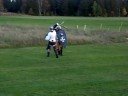 Sir Franz vs Sir Ivan