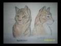 Warriors - Brambleclaw's Anthem