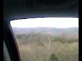 monkey-scares-girls.html