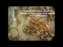 underwater-astonishments.html