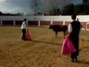 javier torero
