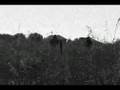 Vimy Ridge