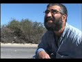 דריסת חיות הבר בכבישים