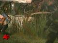 Bus Crash Kills 10
