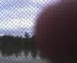 bezer kickin a ball over the fence into a dam