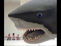 Paranormal World-Megalodon [worlds biggest shark]
