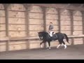 Dressage Clinic II
