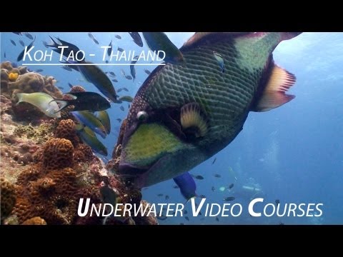 See video