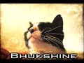 Cat singing WHATEVER.