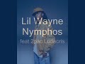 Lil Wayne Nymphos