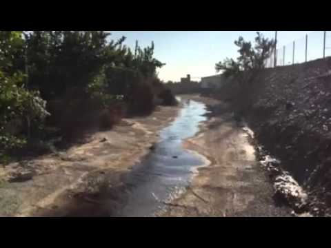 Imagen de previsualización de YouTube