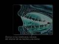 ASEPSIA-DESEPSIA.