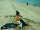 Pancho y Vivi en la playa