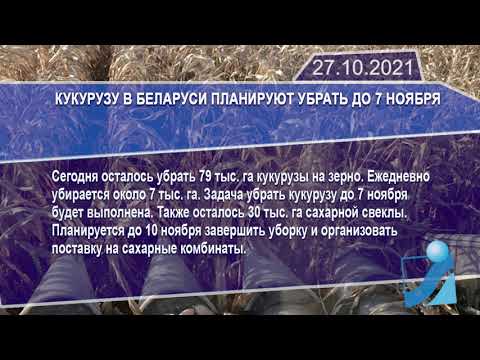 Новостная лента Телеканала Интекс 27.10.21.