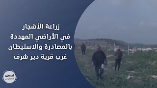 نابلس: زراعة الأشجار في الأراضي المهددة بالمصادرة والاستيطان غرب قرية دير شرف نابلس: زراعة الأشجار في الأراضي المهددة بالمصادرة والاستيطان غرب قرية دير شرف
