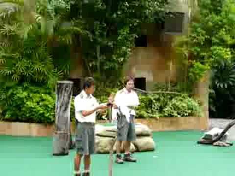 hong_kong-ocean_park-cockatoo-bye_bye.MOV