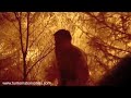 Metsävideo - Tuntematon sotilas
