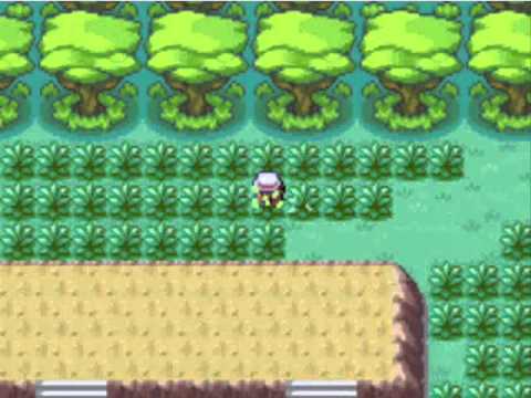 how to i get surf in pokemon fire red
