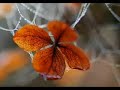 Charice Pempengco - Primetime Bida Medley (((stereo)))