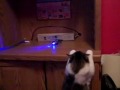 O'Malley and The Remote Controlled Helicopter
