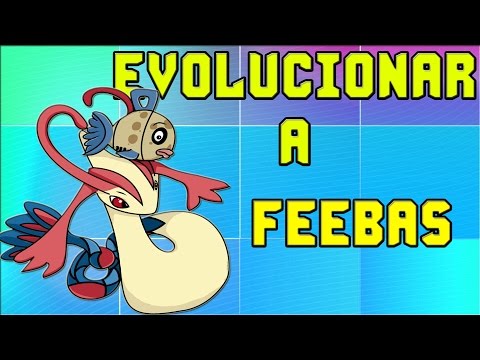 how to feebas in pokemon x