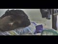 Dewa - Hadapi Dengan Senyuman (ROAR version)