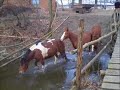 Nasza szalona trójka... Nasza szalona trójka...