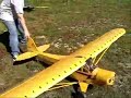 Bush Flying