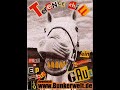 Terence Chill (Feat. Lakman) - battle&beef