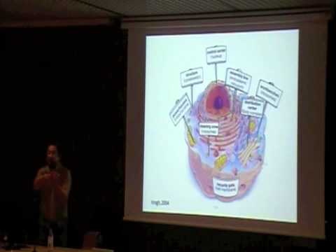 Imagen de previsualización de YouTube