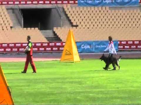 WUSV 2010, C|-