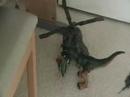 T-Rex T-Rex