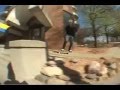 spirit skate shop's trip to top shop