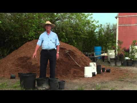 How to Grow Fruit Trees in Containers