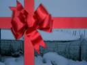 Xmas at 'Woodmouse Cottage'.