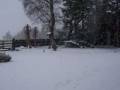 videos de Xmas at 'Woodmouse Cottage'.