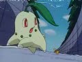 Chikorita