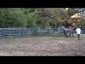 videos de Dust Cloud's Easter Surprize Playing in the arena