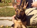 Sheba Von Der Walt